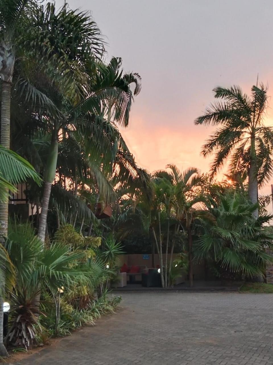 莎娜朗佳山林小屋 Saint Lucia Estuary 外观 照片