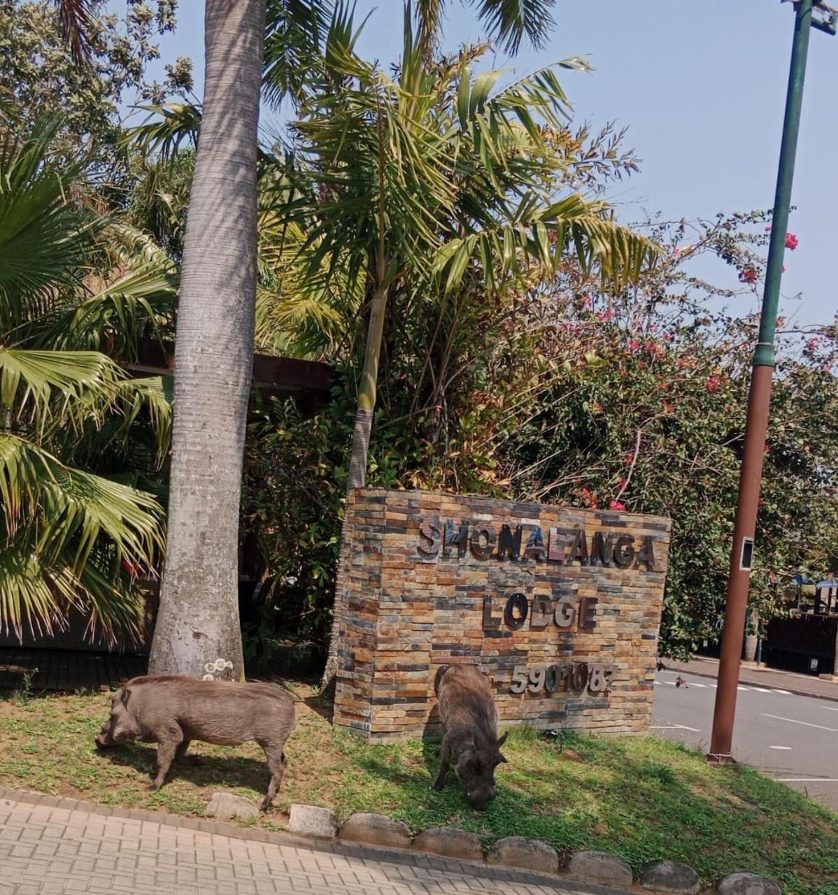 莎娜朗佳山林小屋 Saint Lucia Estuary 外观 照片